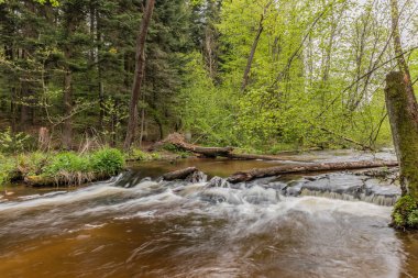Tanew Nehri üzerinde Şelale