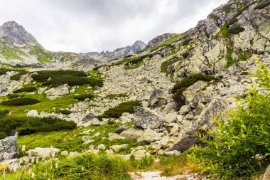 yüksek tatras Slovakya
