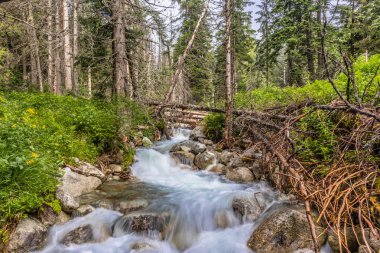 Yüksek Tatras Mountai akışı