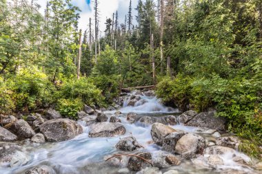 Yüksek Tatras Mountai akışı