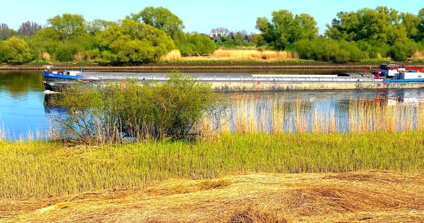 Una Chiatta Tradizionale Sta Passando Fiume Tra Erba — Foto Stock