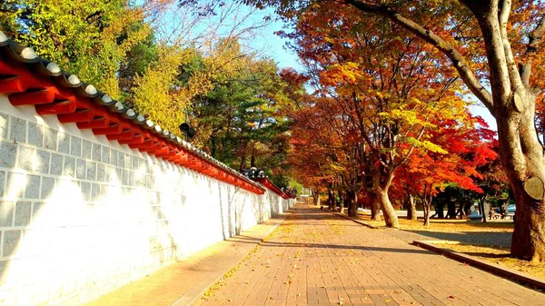 Una Foto Una Calle Peatonal Tradicional Corea Durante Otoño — Foto de Stock