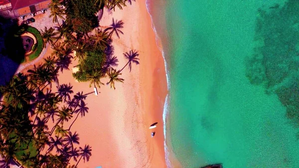 ヤシの木と2人のサーファーがいるビーチのエーリアンビュー — ストック写真