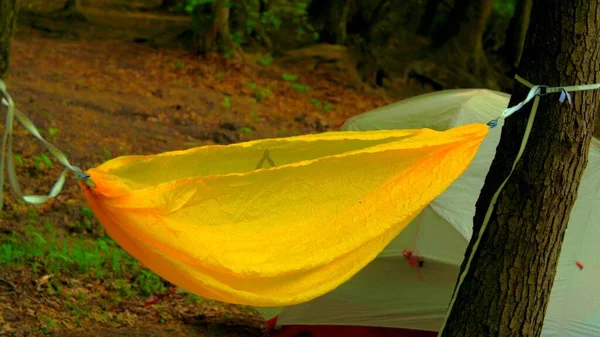 Hamac Plastique Jaune Dans Camping Dans Une Forêt — Photo
