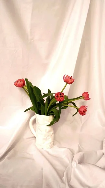 Photo Vase Pink Flowers Leaves White Background — Stock Photo, Image