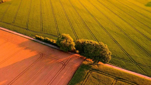 Aerian View Trees Camps Road — Stock Photo, Image