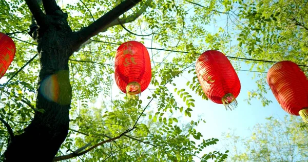 A photo of the New Chinese Year decoration on a tree