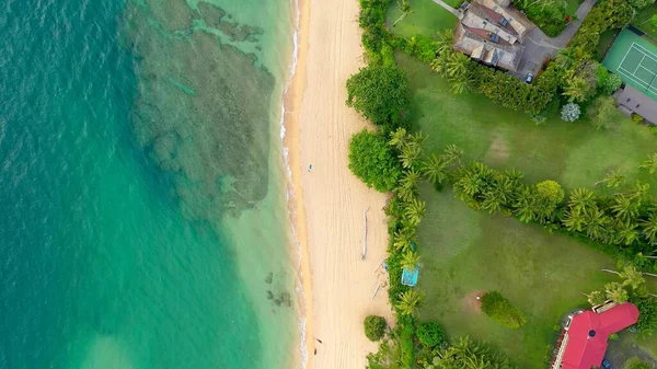 An aerian view of a beach of Hawai with palms