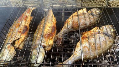 Deniz levreği ve deniz levreğinden yapılmış balık ızgarasına yakından bakın.