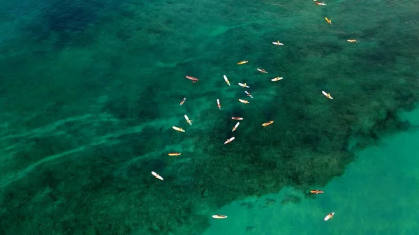 Una Foto Grupo Surfistas Que Esperan Una Ola Océano —  Fotos de Stock