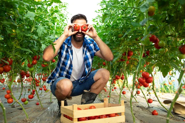 Biolandbau Fleißiger Bauer Macht Alberne Und Lustige Gesichter Mit Tomatengemüse — Stockfoto