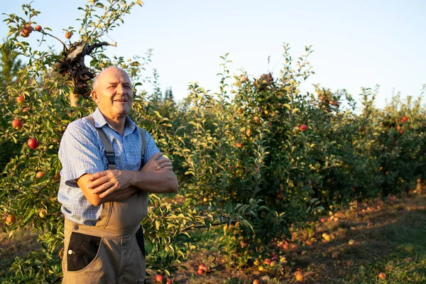 Retrato Del Agricultor Huerto Con Los Brazos Cruzados Orgullosamente Pie — Foto de Stock