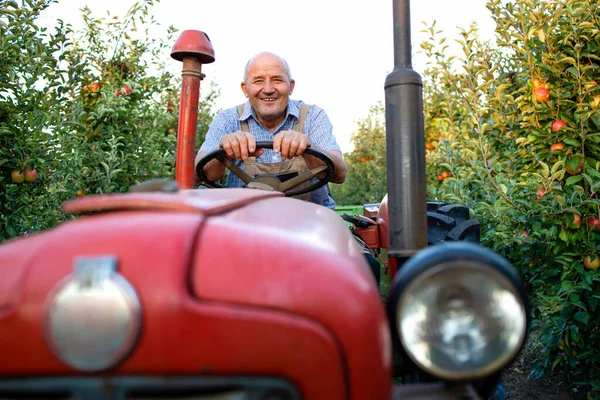 Trabajador Senior Que Conduce Vieja Máquina Tractora Estilo Retro Través — Foto de Stock