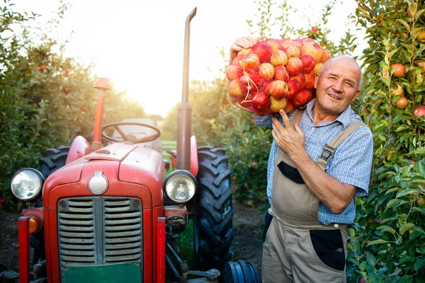 Retrato Del Campesino Sosteniendo Saco Lleno Fruta Manzana Fondo Una — Foto de Stock