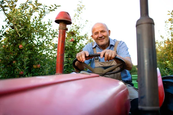 Trabajador Senior Que Conduce Vieja Máquina Tractora Estilo Retro Través — Foto de Stock