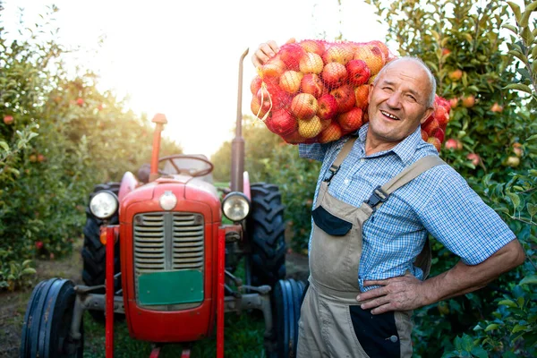 Fermier Tenant Sac Pommes Dans Verger — Photo