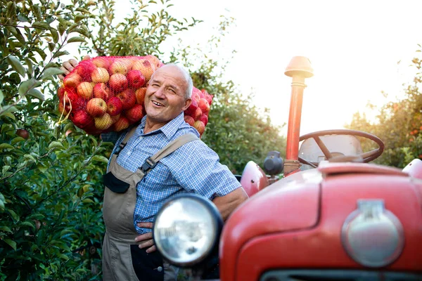 Retrato Agricultor Junto Seu Tractor Segurando Saco Fruta Maçã Pomar — Fotografia de Stock