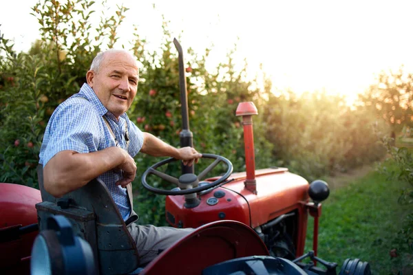 Portrait Agriculteur Âgé Conduisant Son Ancienne Machine Tracteur Style Rétro — Photo