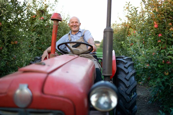 Retrato Agricultor Sênior Dirigindo Sua Antiga Máquina Trator Estilo Retro — Fotografia de Stock