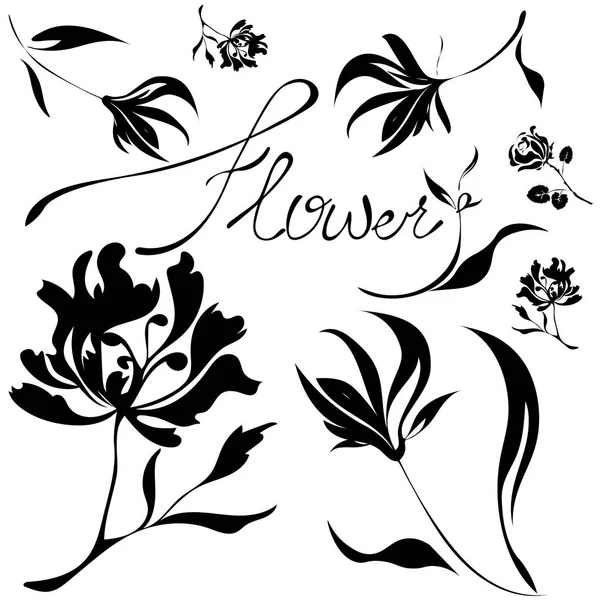 Vecteur Floral Noir Fleurs Peintes Main — Image vectorielle