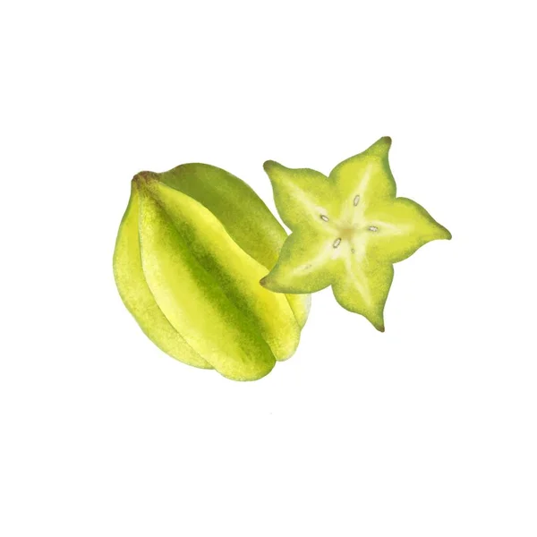 Tropical Star Fruit Illustration Aquarelle Dessinée Main Sur Fond Blanc — Photo