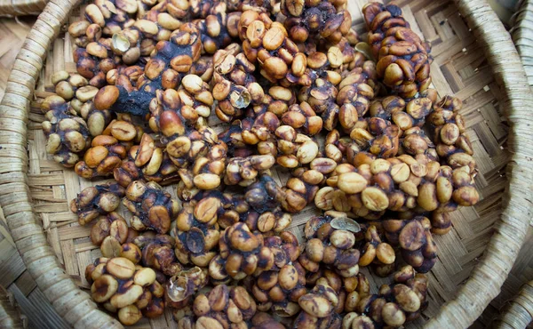 Café Kopi Luwak Civette Grains Café Excrétés Par Civette — Photo