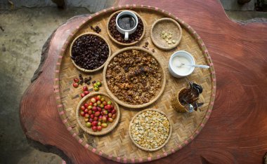 Kopi luwak ya da misk kahve, kahve çekirdekleri tarafından Misk atılır.