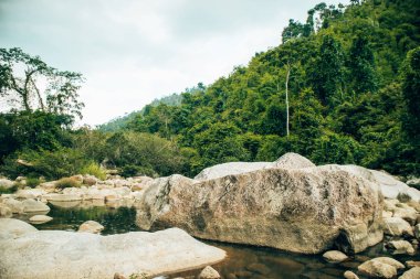 Nehir/göl ve orman manzarası ile doğal taşlar t yol