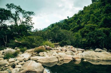 Nehir/göl ve orman manzarası ile doğal taşlar t yol