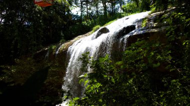 Da Lat Vietnam tropikal ormanda gizli şelale