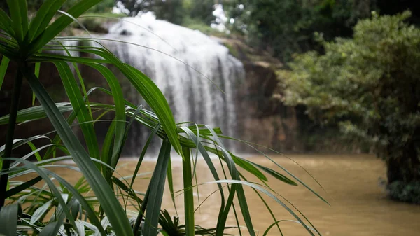 Cascada Escondida Selva Tropical Lat Vietnam Imagen De Stock