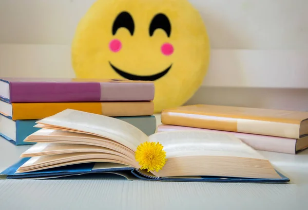 Livro aberto com uma margarida amarela e torre de livro e rosto sorridente do — Fotografia de Stock