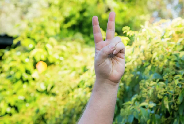 male left handed hand doing victory and peace gesture or indicating number two with nature background