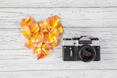 Sarı yaprakları kalpli bir retro kamera