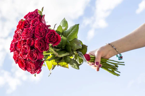 Женская Рука Держит Букет Красных Роз Голубом Небе — стоковое фото