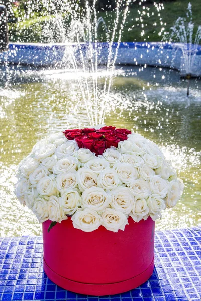Букет Белых Роз Сердцем Красных Роз Красной Коробке Возле Фонтана — стоковое фото