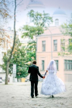 Gelin ve damat yolda devam et, el ele, arka görüş vardır