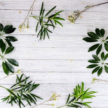 hafif ahşap zemin üzerine yeşil yaprak üstten görünüm