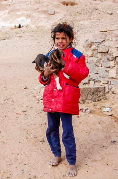 Bir keçi ellerinde, Mısır, Taba, 20 Şubat 2015 ile parlak elbiseleri yalınayak kız Berberka