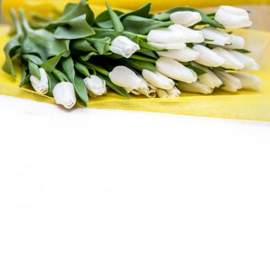 parlak sarı arka plan ve metin, kopya alanı için beyaz arka plan üzerinde nefis taze beyaz laleler