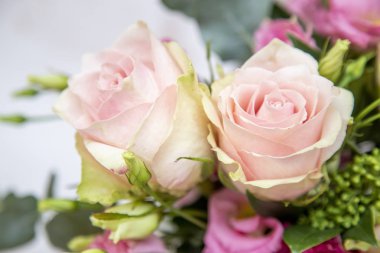 hafif bir arka plan üzerinde pembe gül buketi