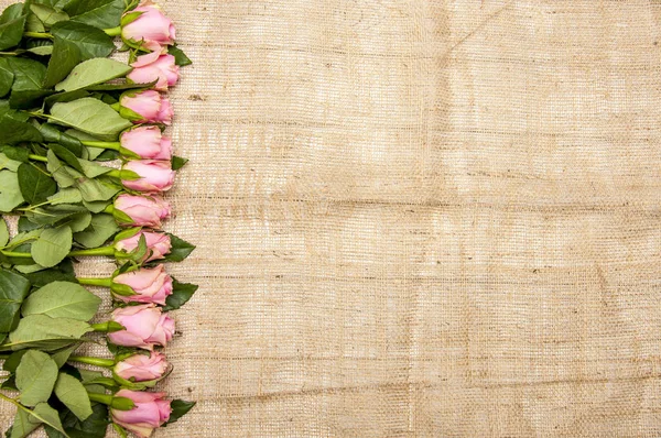 Розовые Розы Грубой Ткани Фон Копировальное Пространство — стоковое фото