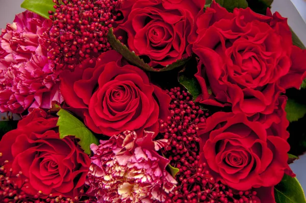 Φόντο Από Κόκκινα Τριαντάφυλλα Γαρίφαλα — Φωτογραφία Αρχείου