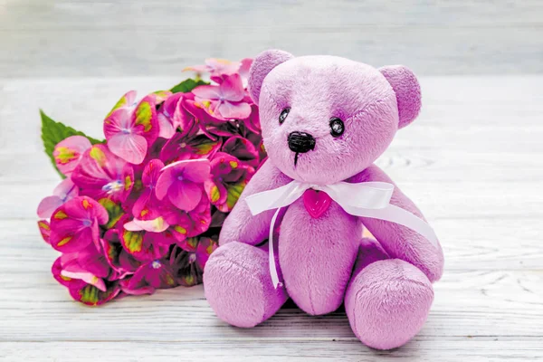 Hortense Grande Camaleão Decíduo Bear Toy Fundo Madeira Leve — Fotografia de Stock