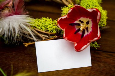 çiçekler, yeşil yosun, tüyler ve el yapımı kuşlar bahar ihale kompozisyon yakın çekim