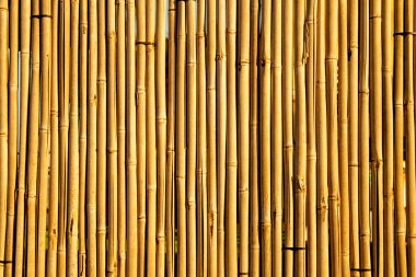 Bambu çitlerinin sarı arkaplanı, yakın plan, doku, geleneksel ev yapımı çitler.