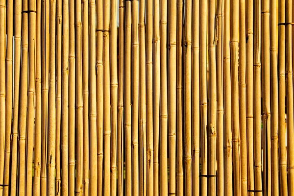 Gul Bakgrund Bambu Staket Närbild Konsistens Traditionell Hemmagjord Staket — Stockfoto