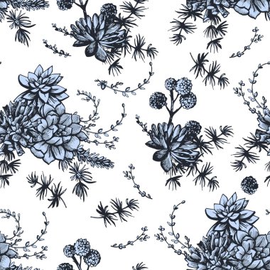 Succulents bitkiler ile grafik vintage desen