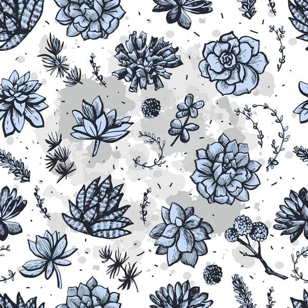 Graphisme Décoratif Motif Succulent Illustration Vectorielle — Image vectorielle