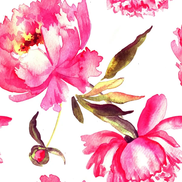 Aquarelle Décorative Sans Couture Avec Pivoines — Photo